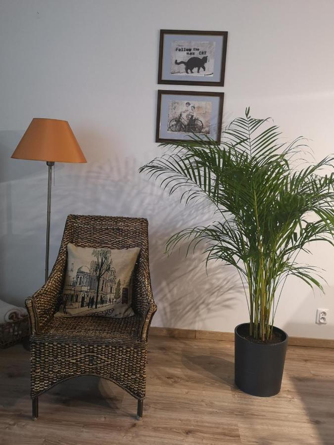 Villa Garden Paryski Olsztyn  Ngoại thất bức ảnh